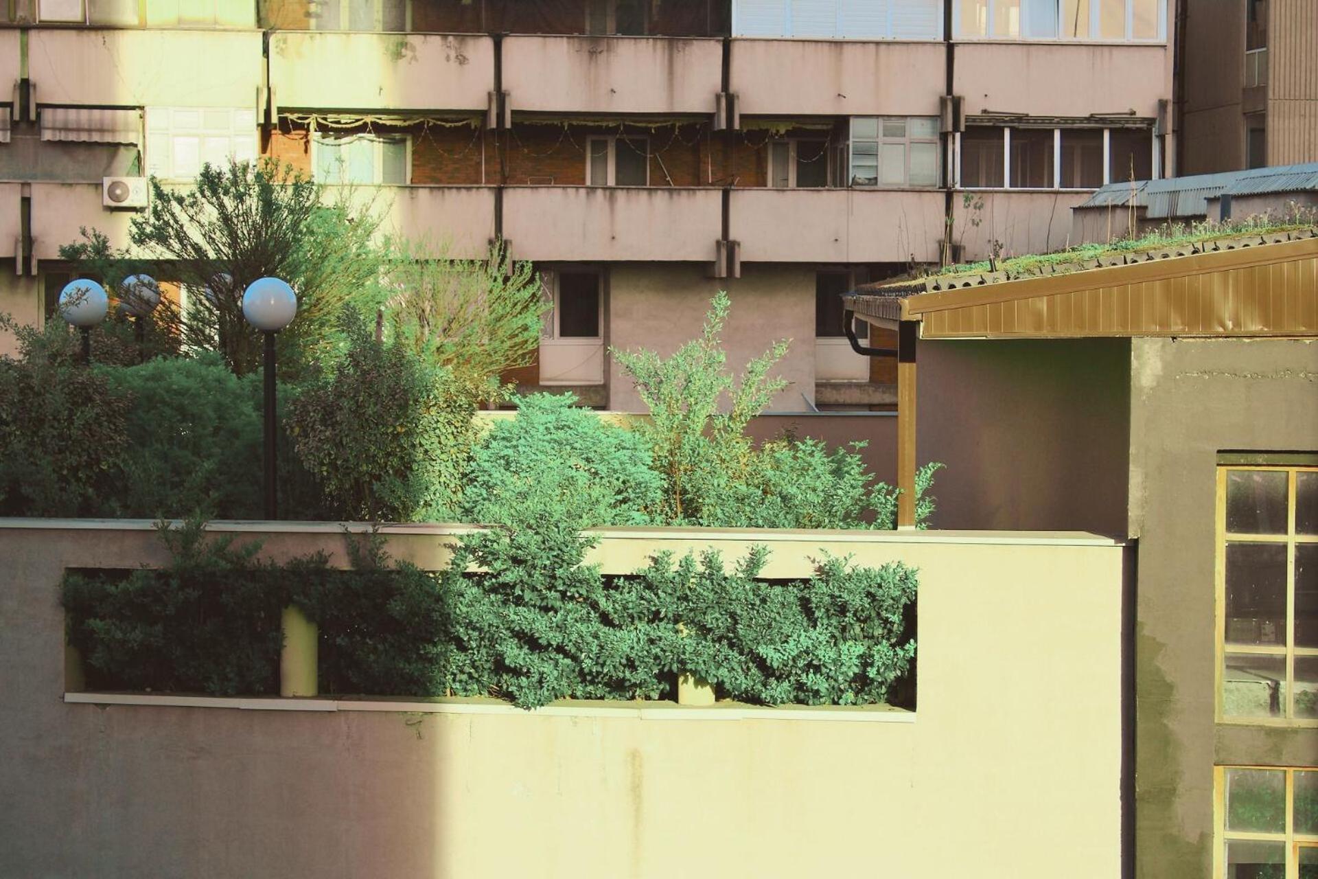 Sunny Center Apartment سكوبجي المظهر الخارجي الصورة